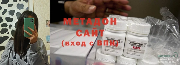 прущие грибы Костерёво