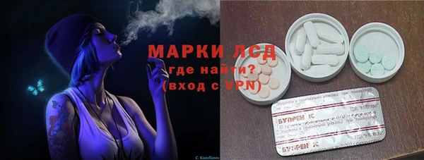 прущие грибы Костерёво