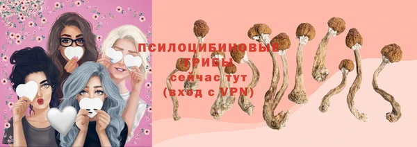 мескалин Коряжма