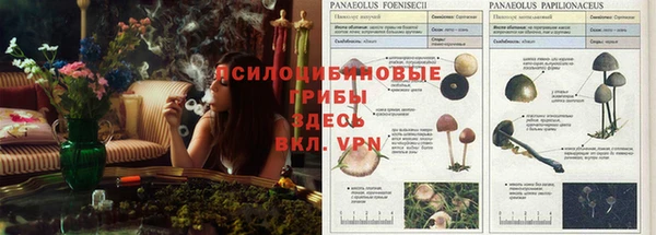 мескалин Коряжма