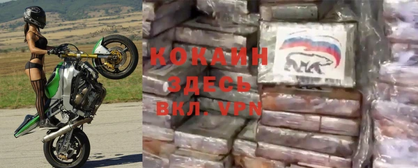 прущие грибы Костерёво