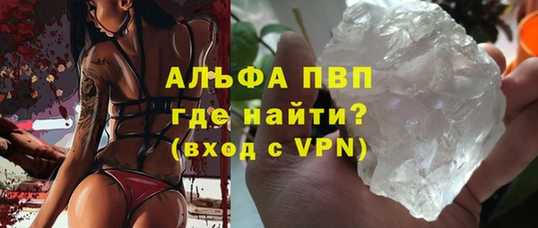 прущие грибы Костерёво