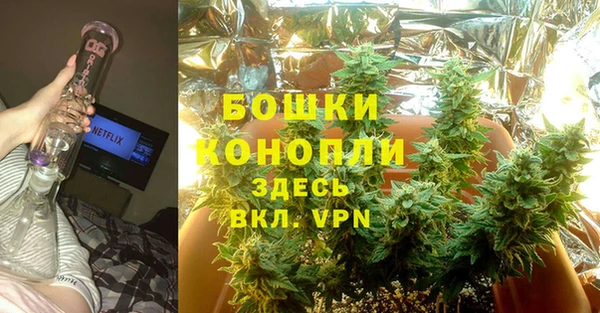 прущие грибы Костерёво