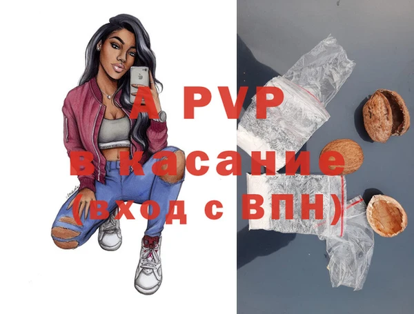 прущие грибы Костерёво