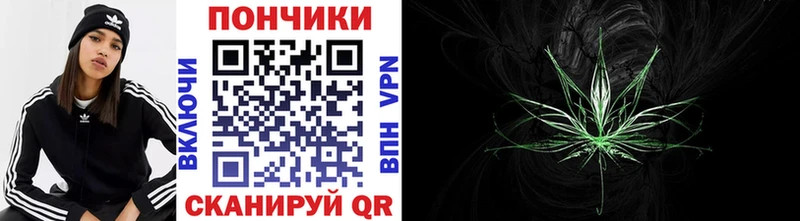 Конопля сатива  Купить закладки  Заозёрный 
